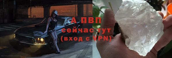 трава Белокуриха