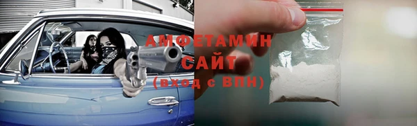 трава Белокуриха