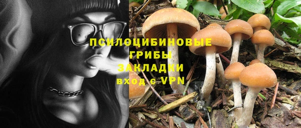 трава Белокуриха
