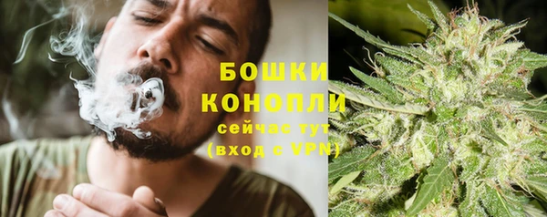 трава Белокуриха