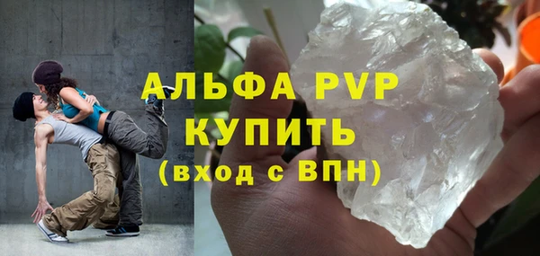 трава Белокуриха