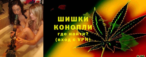 трава Белокуриха