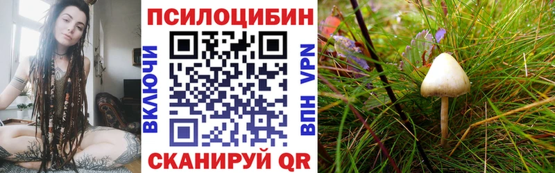 это телеграм  Самара  Галлюциногенные грибы GOLDEN TEACHER 